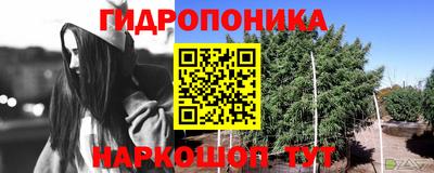 apvp Шахты